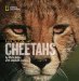Face to Face With Cheetahs cover