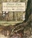 Peter Pan in Kensington Gardens : Peter and Wendy cover