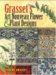 Grasset's Art Nouveau Flower and Plant Designs cover