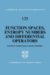 Function Spaces, Entropy Numbers, Differential Operators cover