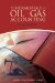 Fundamentals of Oil & Gas Accounting cover