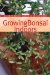 Growing Bonsai Indoors cover