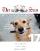 The New York Sun Crosswords 17 : 72 Puzzles from the Daily Paper cover