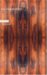 The Consolidator cover