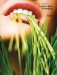 Epica Book 21 : Europe's Best Advertising cover