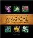Complete Illustrated Encyclopedia of Magical Herbs, Plants, and Flowers cover