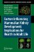 Factors Influencing Mammalian Kidney Development : Implications for Health in Adult Life cover