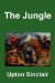 The Jungle cover