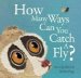 How Many Ways Can You Catch a Fly? cover