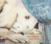 Can You See a Little Bear? cover