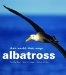 Albatross : Their World, Their Ways cover