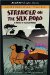 Stranger on the Silk Road : A Story of Ancient China cover
