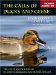The Calls Of Ducks And Geese cover