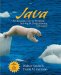 Java : An Introduction to Problem Solving & Programming cover