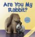 Are You My Rabbit? cover