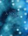 The Angel Almanac : An Inspirational Guide to Healing & Harmony cover