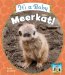 It's a Baby Meerkat! cover