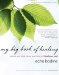 My Big Book of Healing : Restore Your Body, Renew Your Mind, and Heal Your Soul cover