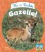 It's a Baby Gazelle! cover