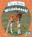 It's a Baby Wildebeest! cover