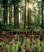 Wild Foresting : Practicing Natures Wisdom cover