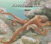 About Mollusks : A Guide for Children cover