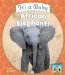 It's a Baby African Elephant! cover