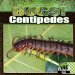 Centipedes cover