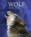 Wolf : Legend, Enemy, Icon cover