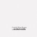 Cerith Wyn Evans Visibleinvisible cover