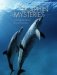 Dolphin Mysteries : Unlocking the Secrets of Communication cover