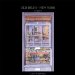 Old Delhi New York cover