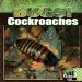 Cockroaches cover