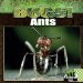 Ants cover