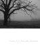 Freaks of the Heartland Scriptbook cover