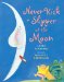 Never Kick a Slipper at the Moon cover