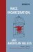 Race, Incarceration, and American Values cover