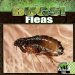Fleas cover
