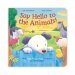 Say Hello to the Animals cover