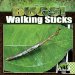 Walking Sticks cover