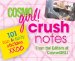 Crush Notes : 101 Fun & Flirty Stickies cover
