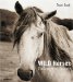 Wild Horses : Endangered Beauty cover