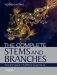 The Complete Stems and Branches : Time and Space in Traditional Acupuncture cover