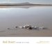 Red Desert : History of a Place cover