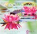 Meditacion para la relajacion cover