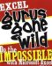 Excel Gurus Gone Wild : Do the Impossible With Microsoft Excel cover