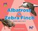 Albatross to Zebra Finch : Birds from A to Z cover