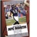 AFC North : The Baltimore Ravens, the Cincinnati Bengals, the Cleveland Browns, the Pittsburgh Steelers cover