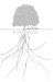 The Drive Progress in Man : ADHD and Dyslexia in Context cover