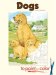 Dogs to Paint or Color cover